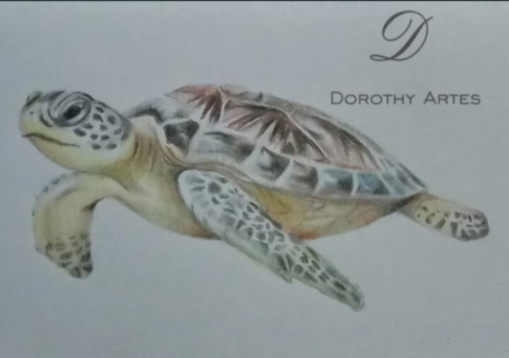 Made with colored pencils Made with colored pencils